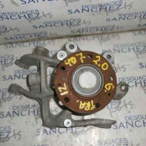 MANGUETA TRASERA IZQUIERDA PEUGEOT 407 2.0 16V CAT