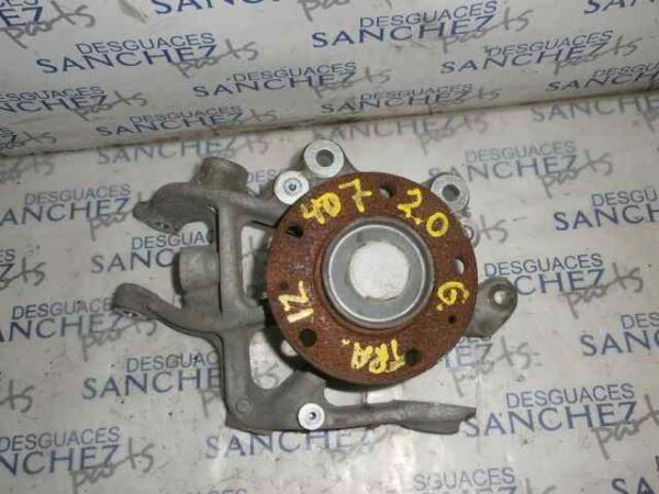 MANGUETA TRASERA IZQUIERDA PEUGEOT 407 2.0 16V CAT