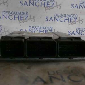 CENTRALITA MOTOR UCE RENAULT SCENIC RX4  (JA0) 1.9 dCi Diesel CAT
