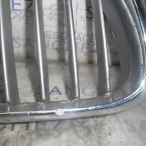 REJILLA DELANTERA BMW X5 (E53) 4.4 V8 32V CAT