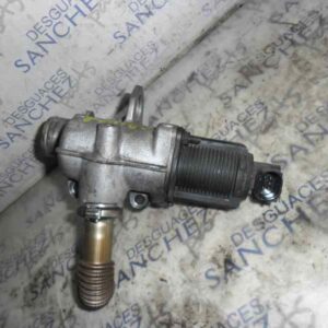 VALVULA EGR RENAULT KANGOO (F/KC0) 1.5 dCi Diesel
