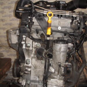 MOTOR COMPLETO SKODA FABIA (6Y2/6Y3) 1.4 TDI CAT (AMF)