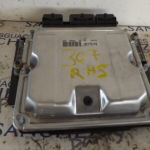 CENTRALITA MOTOR UCE PEUGEOT 307 (S1) *